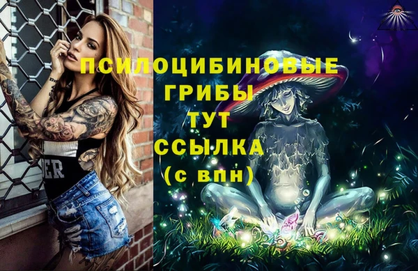 МДПВ Алзамай