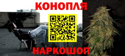гашик Славгород