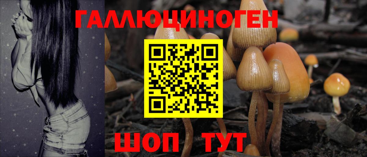 Псилоцибиновые грибы ЛСД Саров